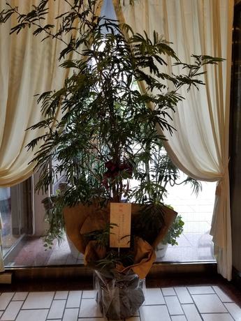 Imagen de los interiores del Hotel Silk Tree Nagoya. Foto 18