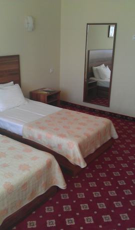 Imagen de la habitación del Hotel Silk Way. Foto 9