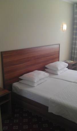 Imagen de la habitación del Hotel Silk Way. Foto 13