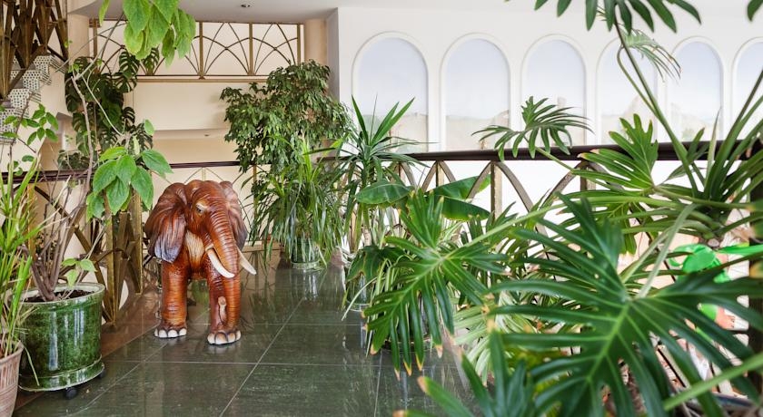 Imagen de la habitación del Hotel Silky Way. Foto 5