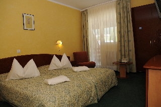 Imagen de la habitación del Hotel Silva Busteni. Foto 14