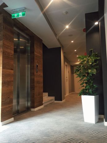 Imagen de los interiores del Hotel Silver 39 Corner. Foto 17