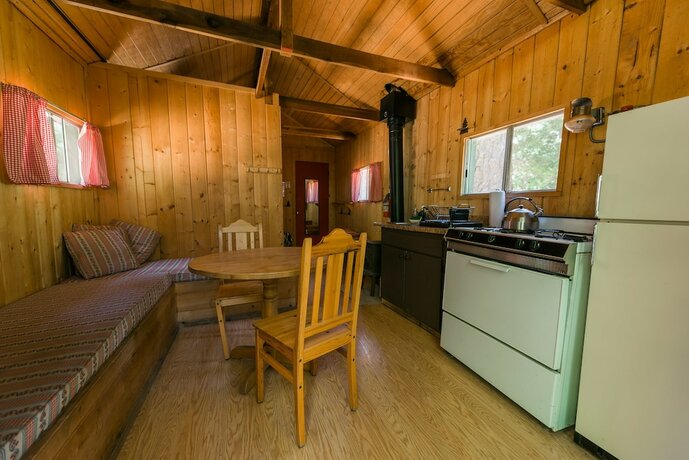 Imagen de la habitación del Hotel Silver City Mountain Resort. Foto 16