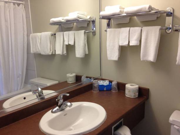 Imagen de la habitación del Hotel Silver Crest Lodge. Foto 10
