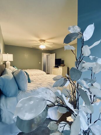 Imagen general del Hotel Silver Dunes Condominium. Foto 3