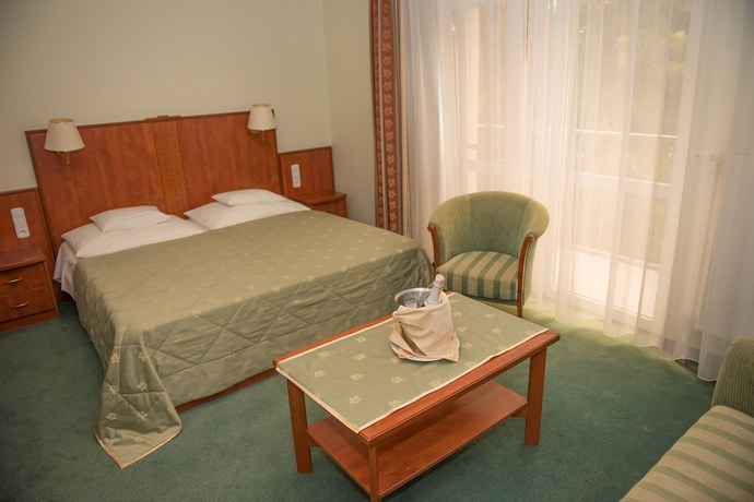 Imagen de la habitación del Hotel Silver, Hajduszoboszlo. Foto 6