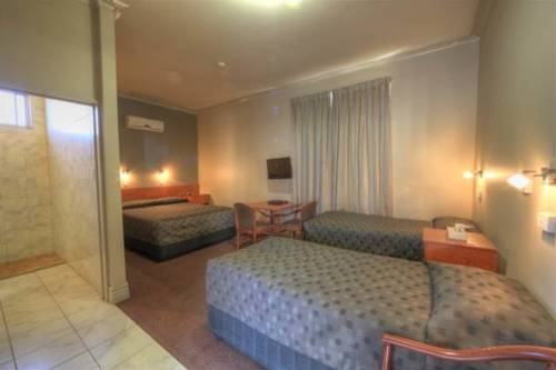 Imagen de la habitación del Hotel Silver Haven Motor Inn. Foto 4