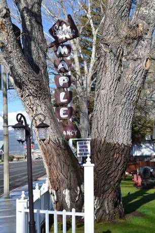 Imagen de la habitación del Hotel Silver Maple Inn and The Cain House. Foto 2
