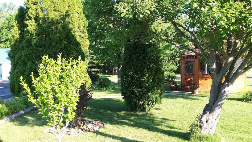 Imagen de los exteriores del Hotel Silver Motel. Foto 13