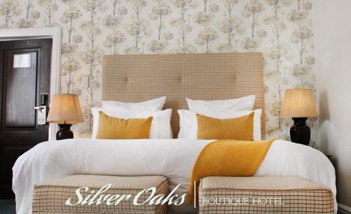 Imagen general del Hotel Silver Oaks Boutique. Foto 3