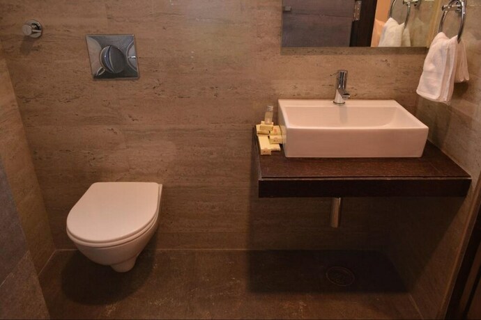Imagen de la habitación del Hotel Silver Pride. Foto 18