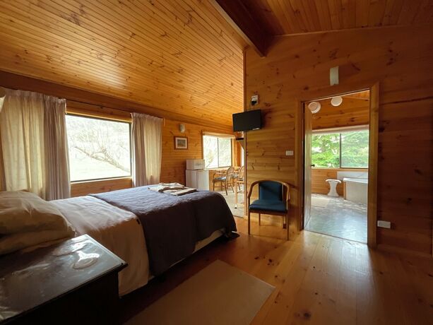 Imagen de la habitación del Hotel Silver Ridge Retreat. Foto 25