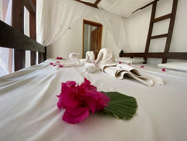 Imagen general del Hotel Silver Rock. Foto 4