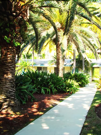 Imagen de los exteriores del Hotel Silver Sands Beach Resort. Foto 11