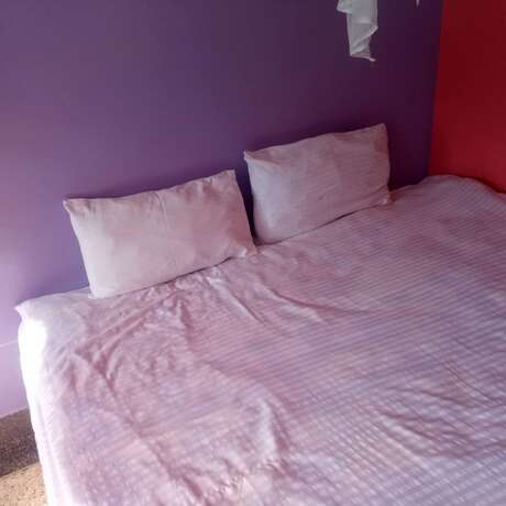 Imagen de la habitación del Hotel Silver View Lodge. Foto 12