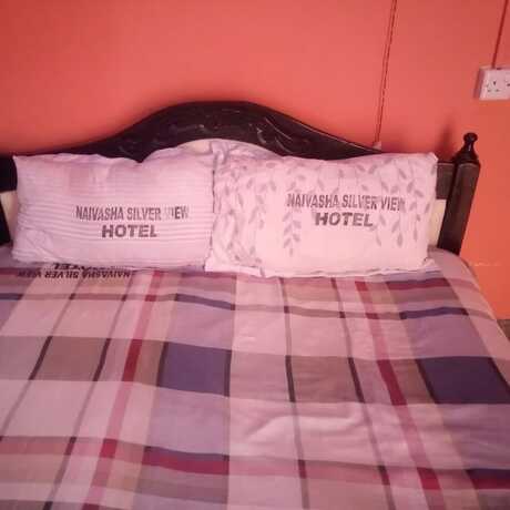 Imagen general del Hotel Silver View Lodge. Foto 4