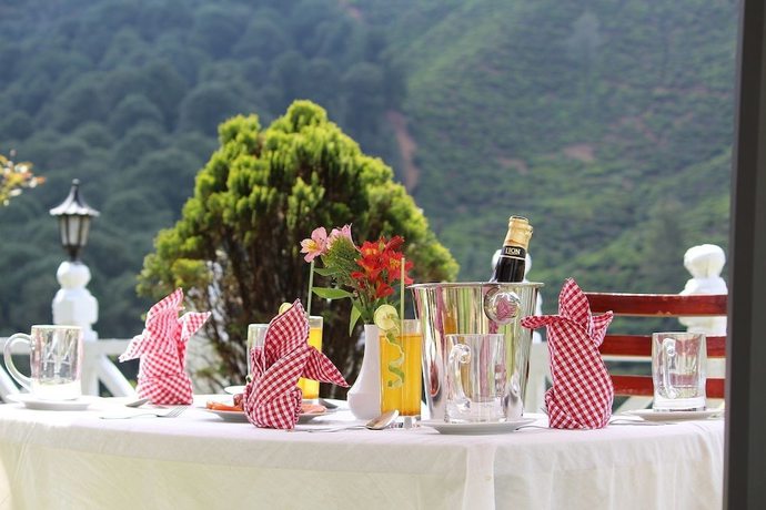 Imagen del bar/restaurante del Hotel Silverfalls. Foto 9