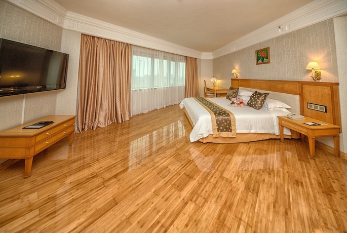 Imagen de la habitación del Hotel Silverland. Foto 7