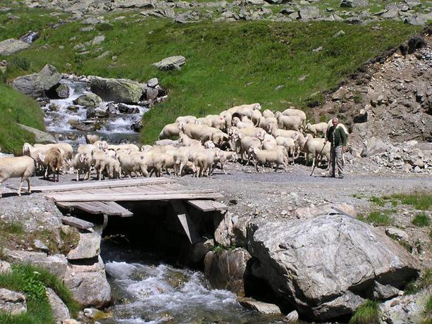 Imagen general del Hotel Silvretta, Kappl. Foto 2