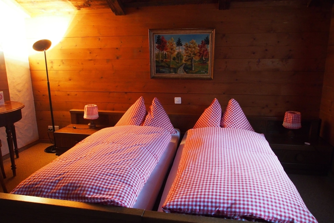Imagen de la habitación del Hotel Simmental. Foto 11