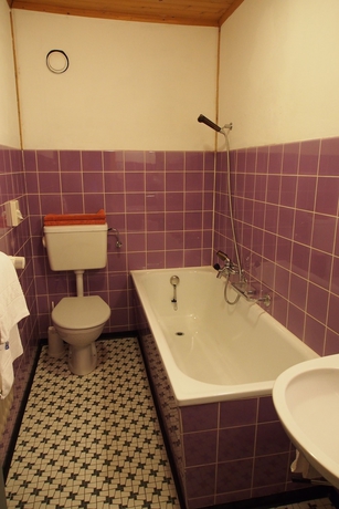 Imagen de la habitación del Hotel Simmental. Foto 18