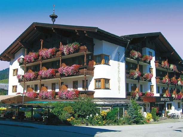 Imagen general del Hotel Simmerlwirt. Foto 7