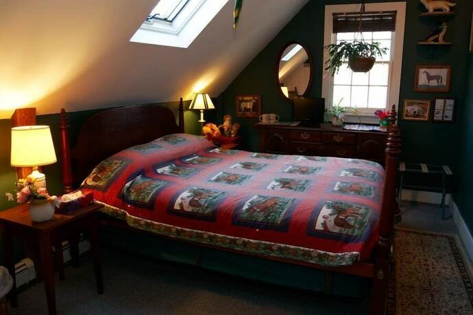 Imagen general del Hotel Simmons Homestead Inn. Foto 12