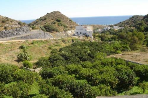 Imagen general del Hotel Simon, Mojácar. Foto 6