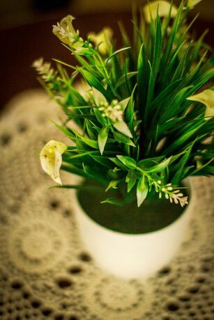 Imagen general del Hotel Simon's Place. Foto 4