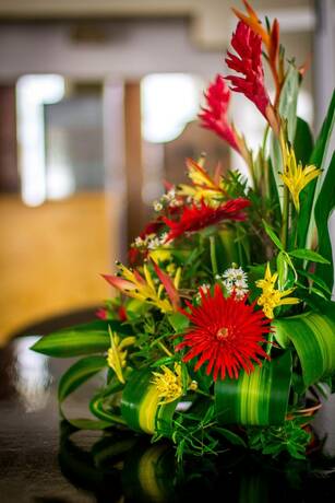 Imagen general del Hotel Simon's Place. Foto 8