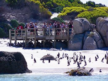 Imagen de los interiores del Hotel Simon's Town Quayside. Foto 14