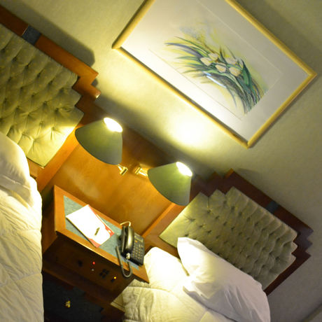 Imagen de la habitación del Hotel Simorgh. Foto 7