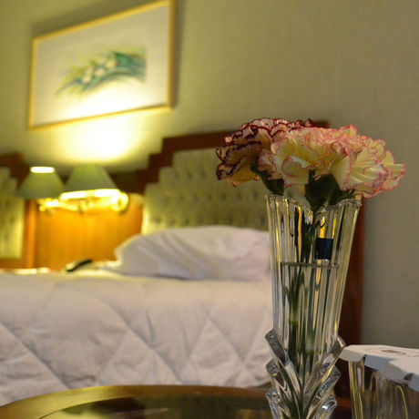 Imagen de la habitación del Hotel Simorgh. Foto 10