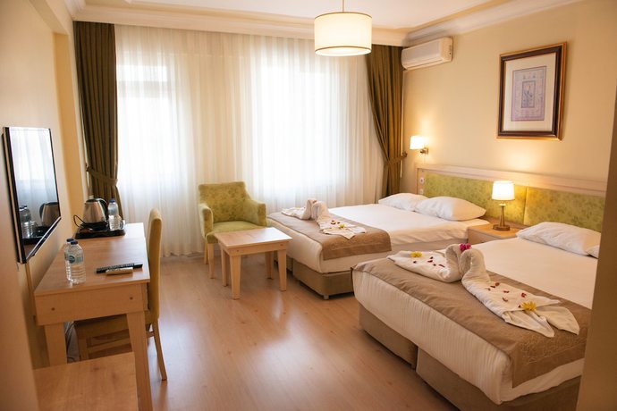 Imagen de la habitación del Hotel Simsek, Edirne. Foto 14