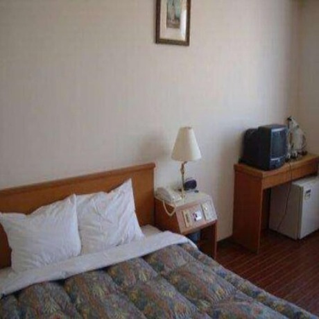 Imagen de la habitación del Hotel Sincerity. Foto 3