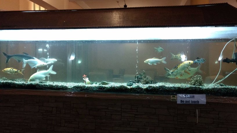 Imagen de los interiores del Hotel Sinchula. Foto 11