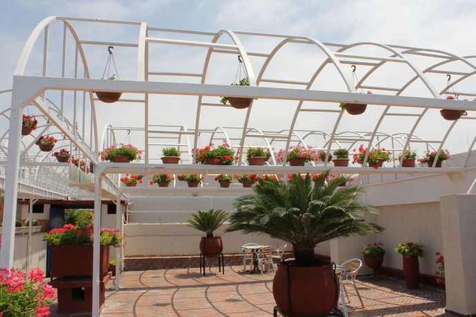 Imagen de los exteriores del Hotel Sindibad. Foto 10