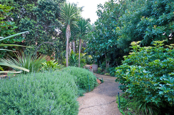 Imagen de los exteriores del Hotel Singa Lodge. Foto 12