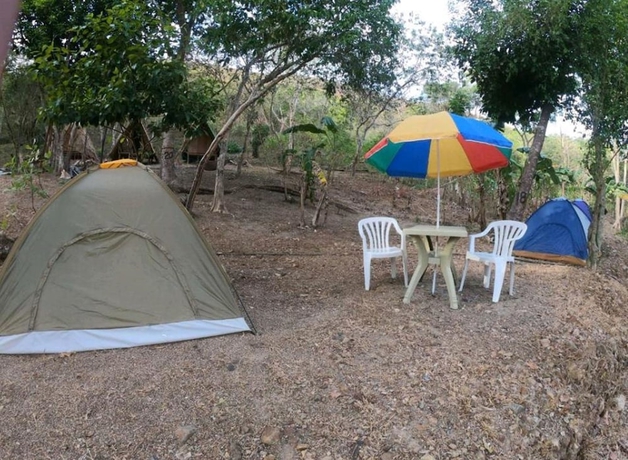 Imagen de la habitación del Hotel Singalong Nature Camphill Site. Foto 5