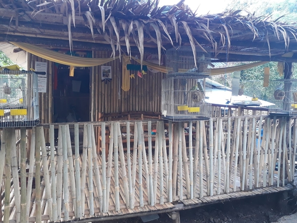 Imagen de los interiores del Hotel Singalong Nature Camphill Site. Foto 18