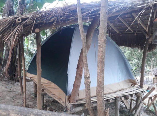 Imagen de la habitación del Hotel Singalong Nature Camphill Site. Foto 9