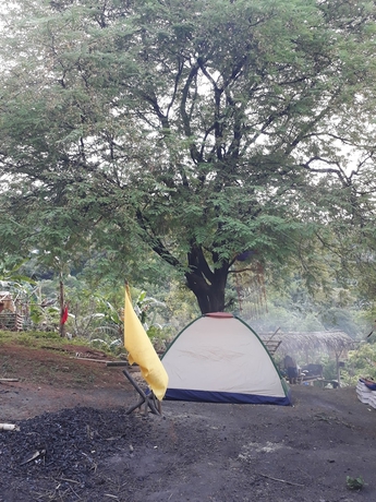 Imagen de la habitación del Hotel Singalong Nature Camphill Site. Foto 13