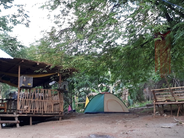 Imagen de la habitación del Hotel Singalong Nature Camphill Site. Foto 14