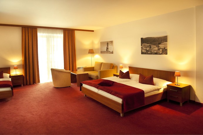 Imagen de la habitación del Hotel Singer. Foto 18