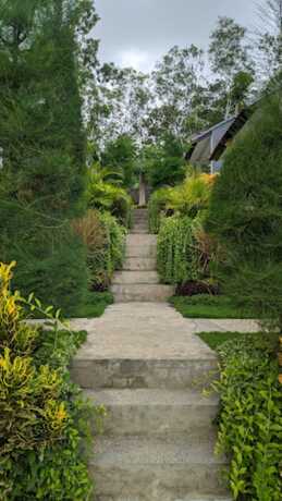 Imagen general del Hotel Singgahan Bungalow. Foto 18