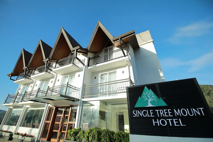 Imagen general del Hotel Single Tree Mount. Foto 4