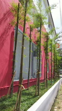 Imagen de los exteriores del Hotel Sino @thungsong. Foto 11