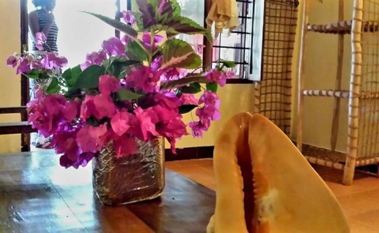 Imagen de la habitación del Hotel Sipano Beach Lodge. Foto 16