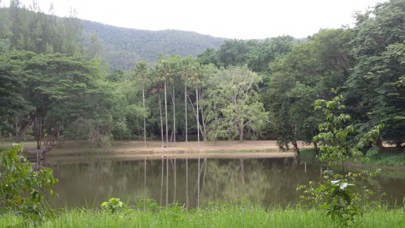 Imagen de los exteriores del Hotel Sippa Hotspring. Foto 26