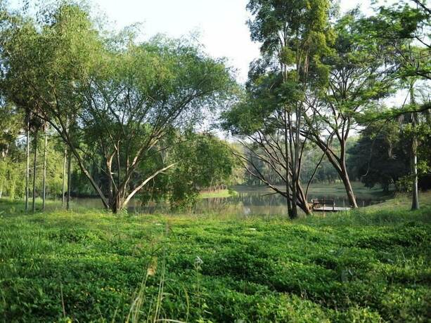 Imagen de los exteriores del Hotel Sippa Hotspring. Foto 28